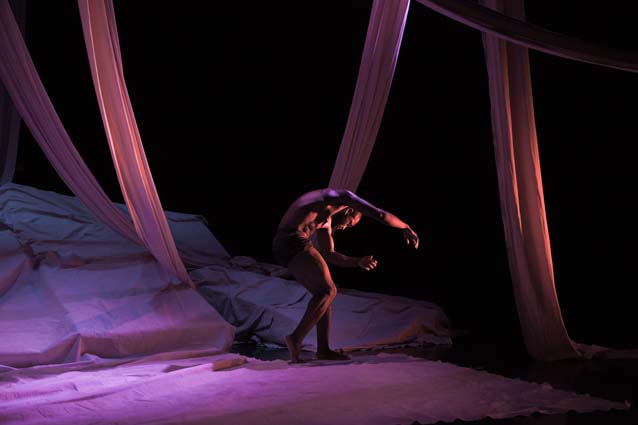 The Rodin Project