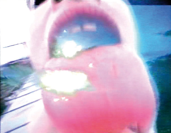 Museum Joanneum – Izložba – ‘medien.kunst.sammeln. Perspektiven einer Sammlung /  medij. umjetnost. skupljati. Perspektive jedne zbirke’ [Osvrt Sonja Jeđud]