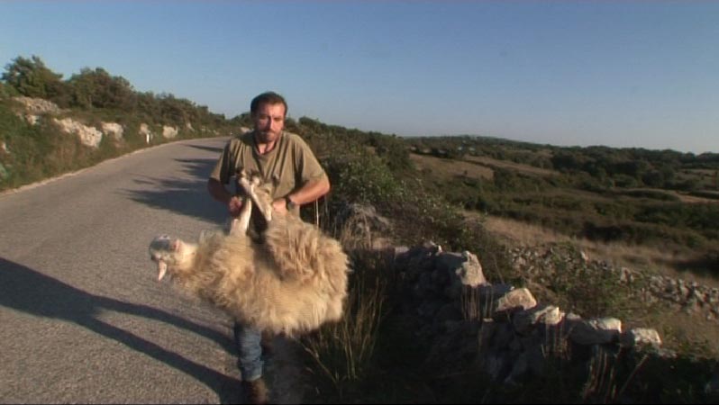 Damir Terešak u Dokukinu Croatia