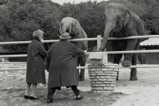 Izložba ‘Tito – Foto’ u Foto galeriji Lang